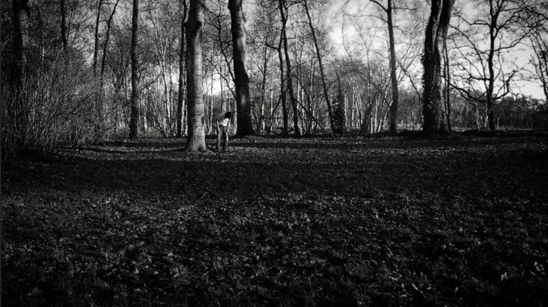 кадр из фильма the forest of great mystery and emptiness