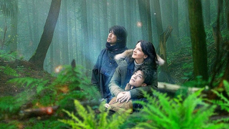 кадр из фильма Видение