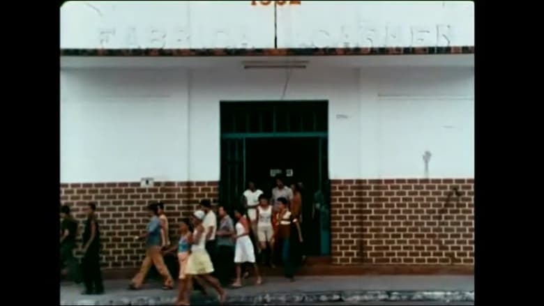 кадр из фильма Memórias da Vida e do Trabalho