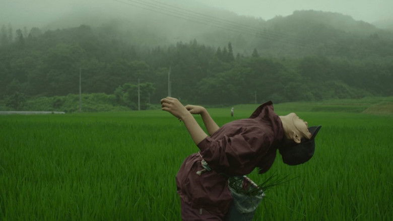 кадр из фильма Маленький лес. Лето, осень