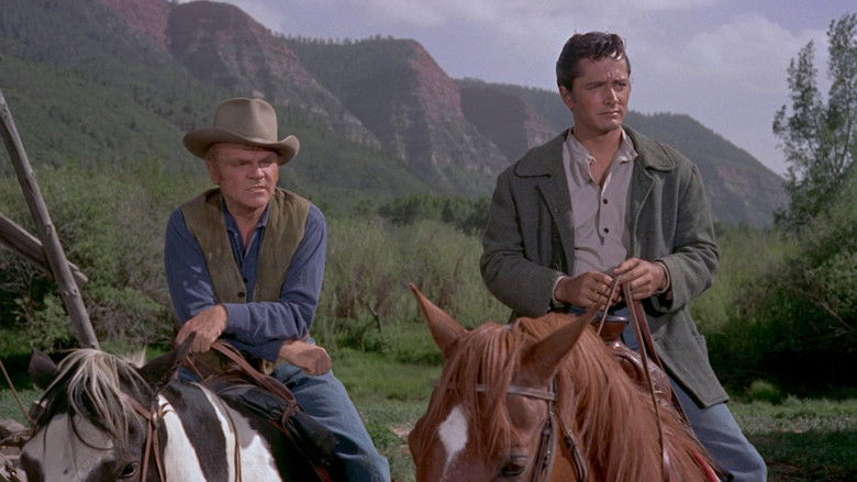 кадр из фильма В укрытии