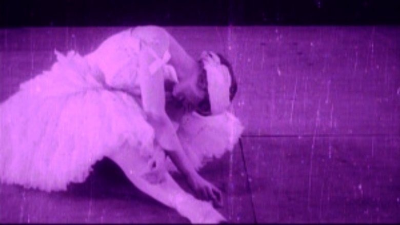 кадр из фильма Умирающий лебедь