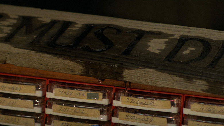 кадр из фильма Туман