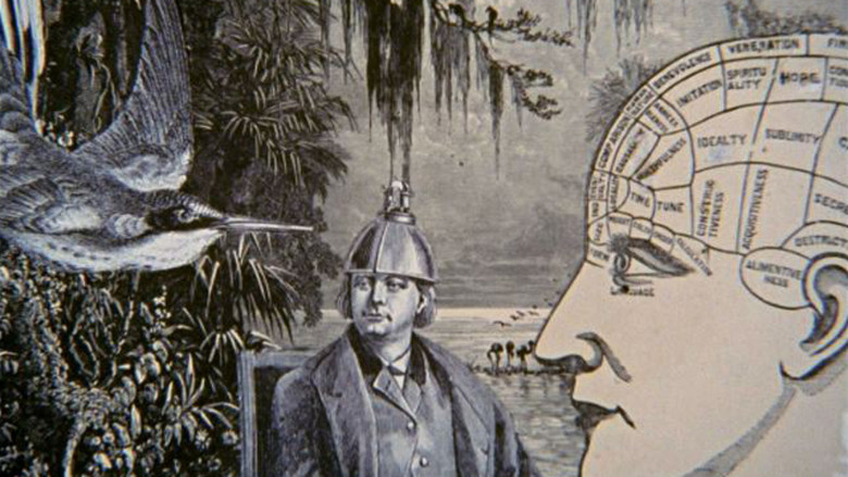 кадр из фильма Night Light