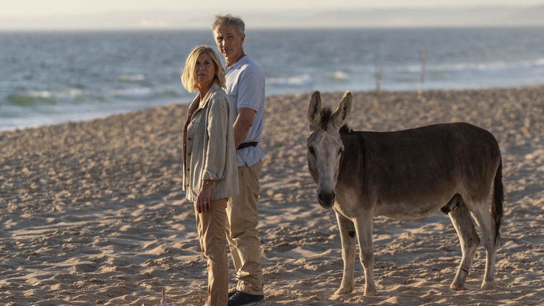 кадр из фильма Joyeuse retraite 2