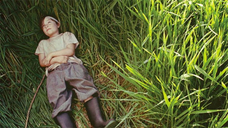 кадр из фильма A River in the Woods