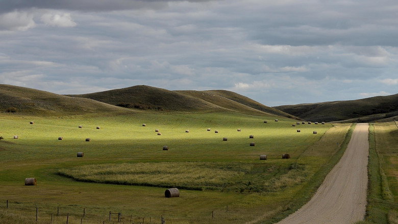 кадр из фильма The Musical Republic of Western Canada