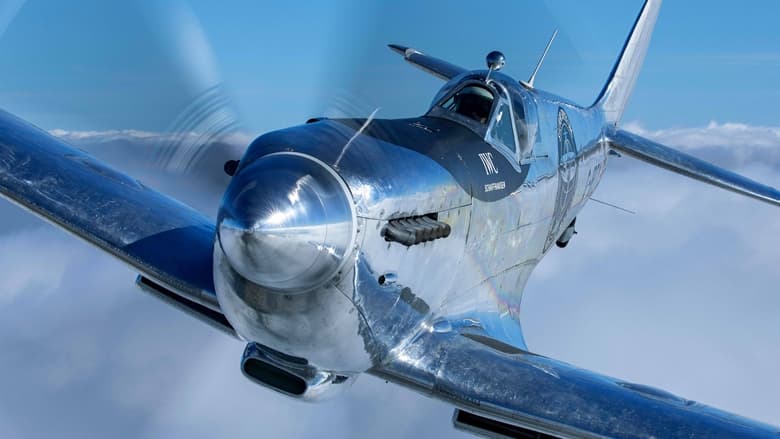 кадр из фильма Silver Spitfire: The Longest Flight
