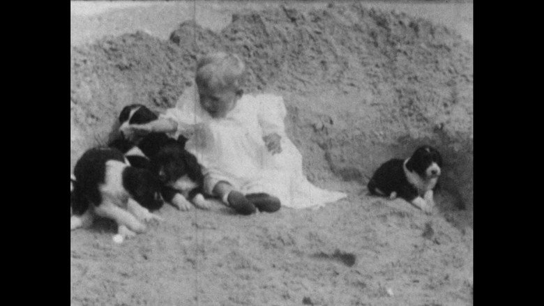 кадр из фильма Wonder Dogs! Canine Stars of the Silent Era (1898-1928)