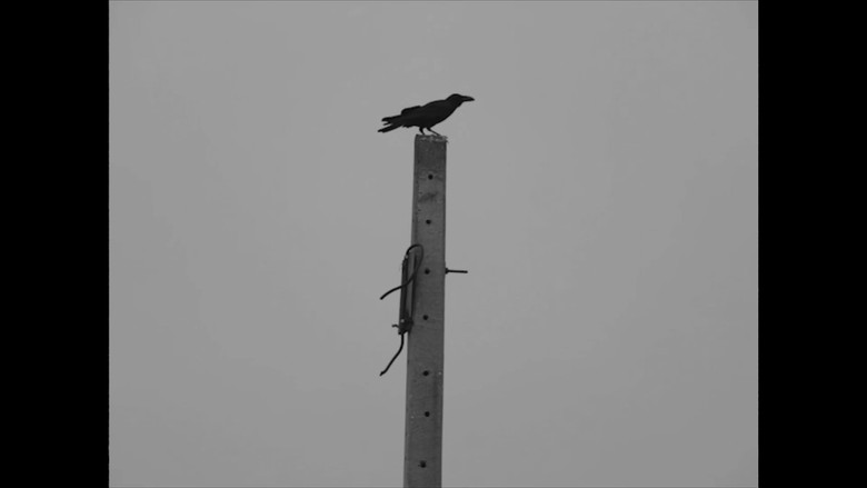 кадр из фильма Ruby Robber