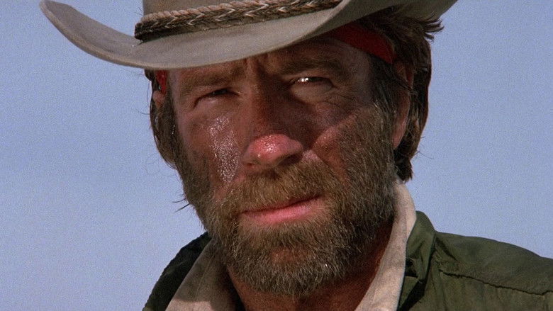 кадр из фильма Одинокий волк МакКуэйд