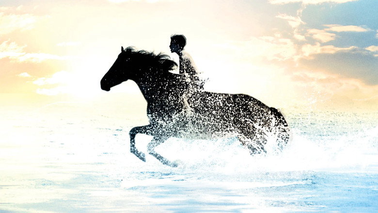 кадр из фильма Черный скакун