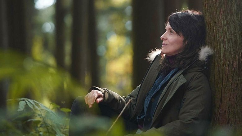 кадр из фильма Видение