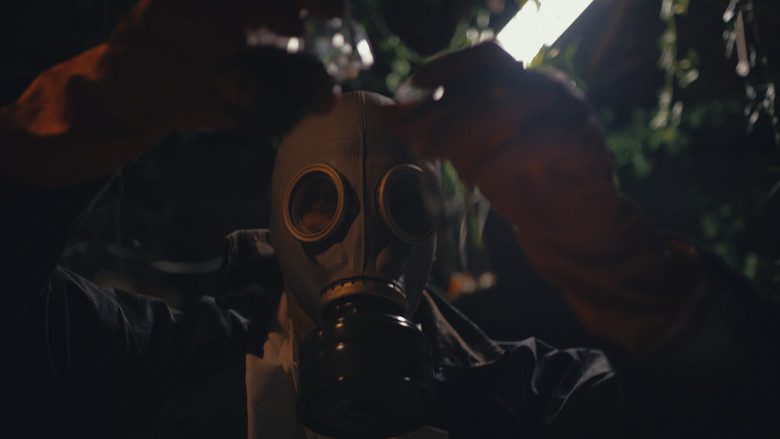 кадр из фильма The Plant Boy