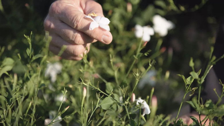 кадр из фильма Dictionnaire amoureux du parfum