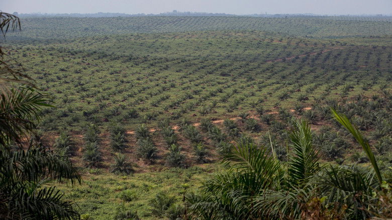 кадр из фильма Silas