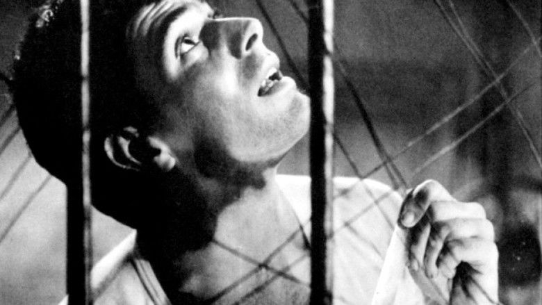 кадр из фильма Giorno per giorno disperatamente