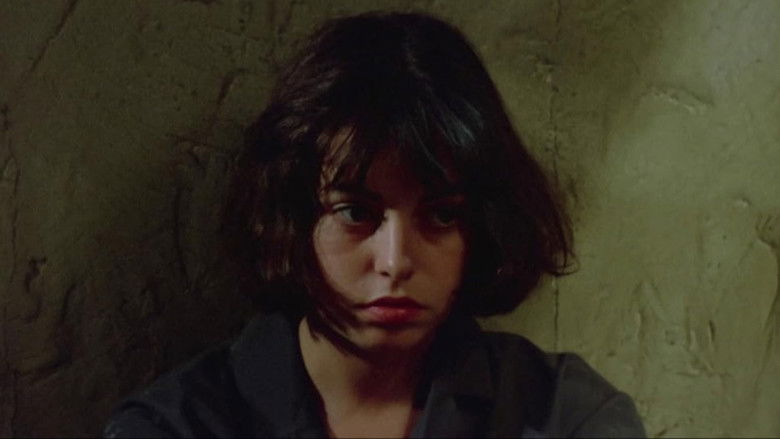 кадр из фильма Куклы за колючей проволокой