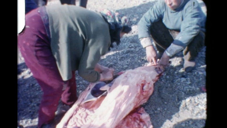 The Way You Kill Is The Way You Live