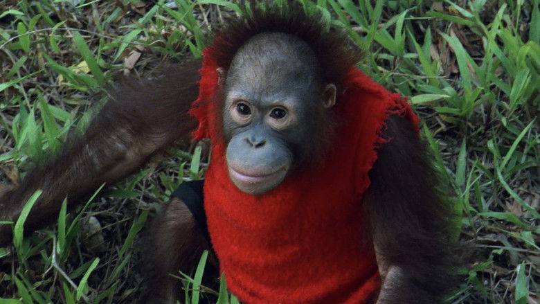 кадр из фильма 神偷次世代