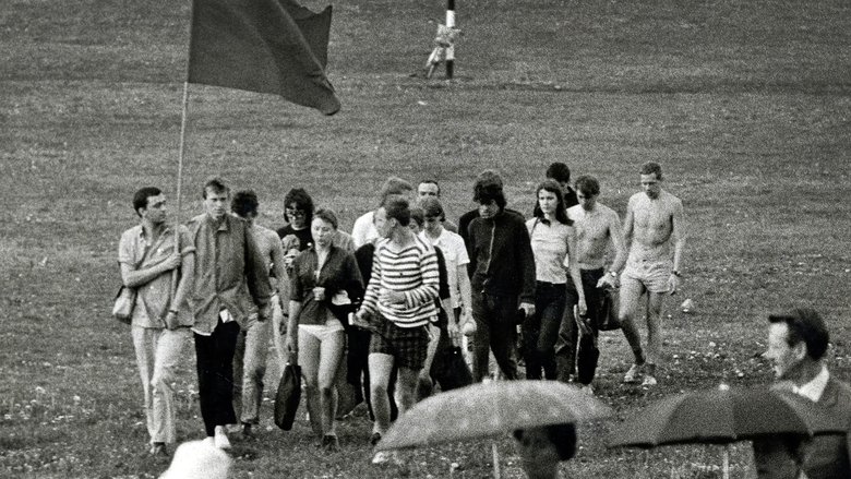 кадр из фильма Rebellerna