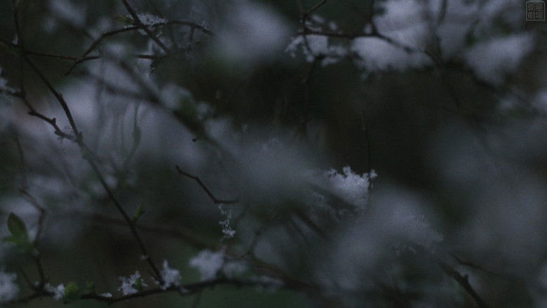 кадр из фильма 愛奴