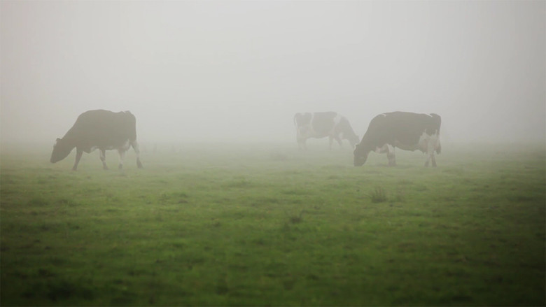 кадр из фильма Les pieds sur terre