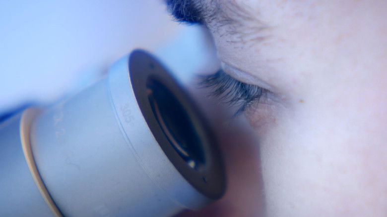 кадр из фильма Le rêve des cigognes