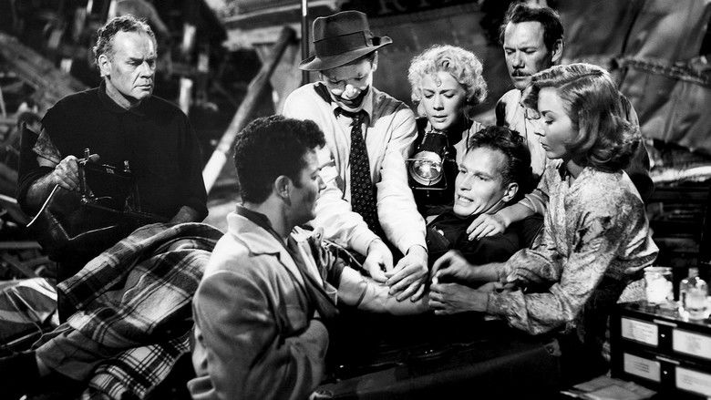 кадр из фильма Величайшее шоу мира