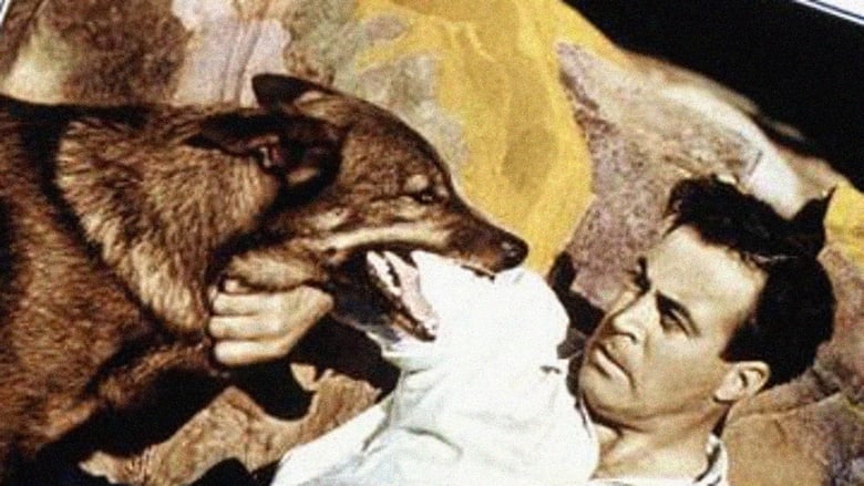 кадр из фильма Topa Topa