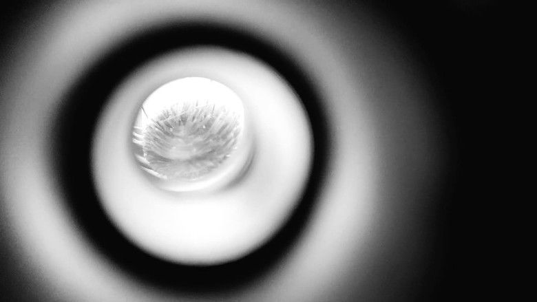 кадр из фильма Fúria AsSISSIna