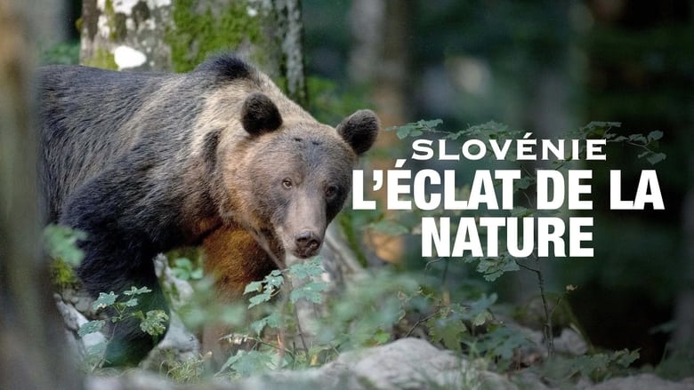 кадр из фильма Slovénie - L’éclat de la nature