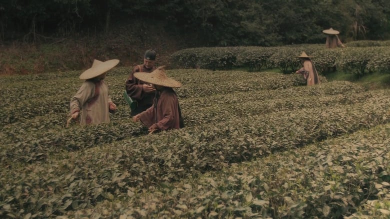 кадр из фильма Les aventures de Robert Fortune ou comment le thé fut vole aux Chinois