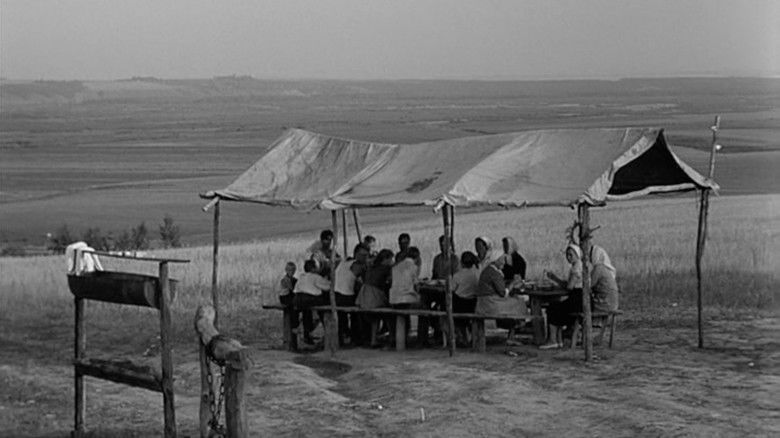 кадр из фильма История Аси Клячиной, которая любила, да не вышла замуж