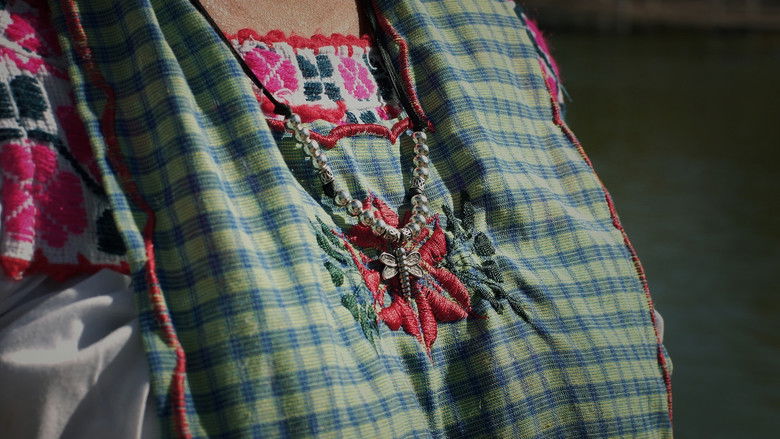 кадр из фильма Libélula