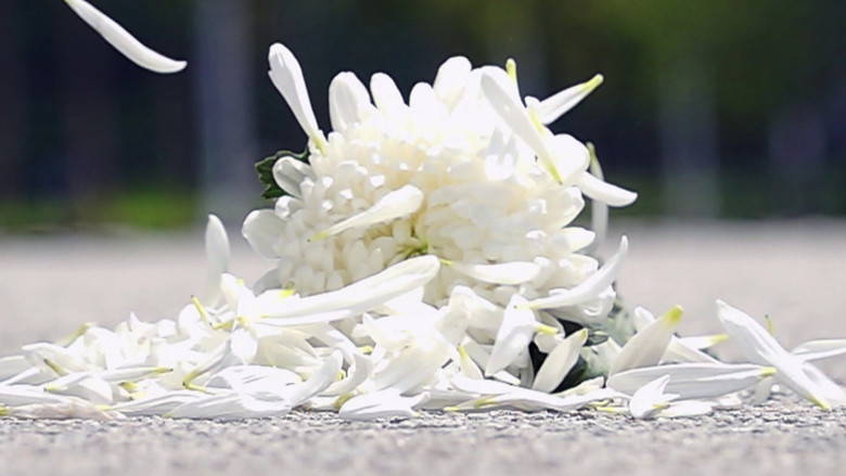 кадр из фильма 늦봄 2020