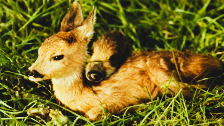 кадр из фильма Svet koji nestaje