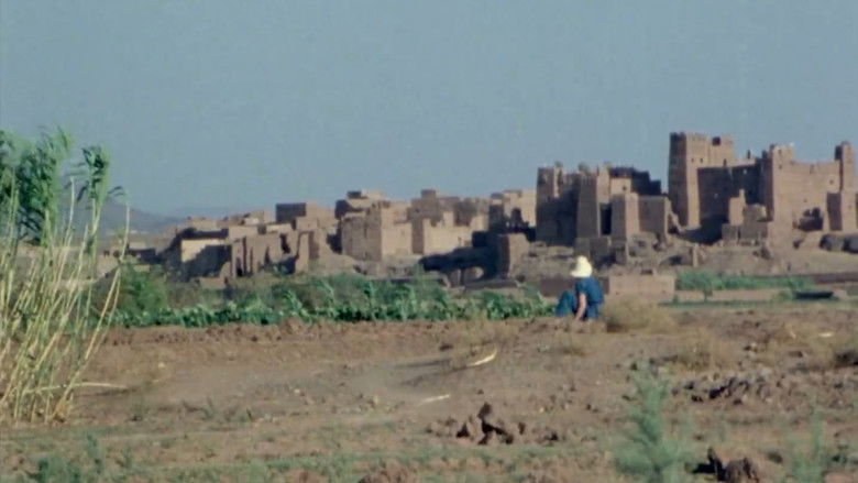 кадр из фильма The Great Sadness of Zohara