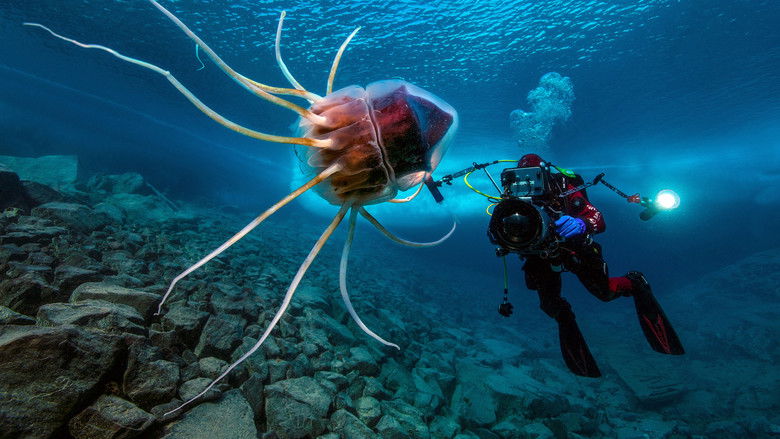 кадр из фильма Planète Méditerranée