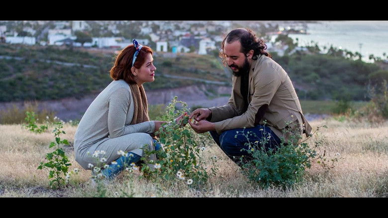 кадр из фильма El Editor Versión Final