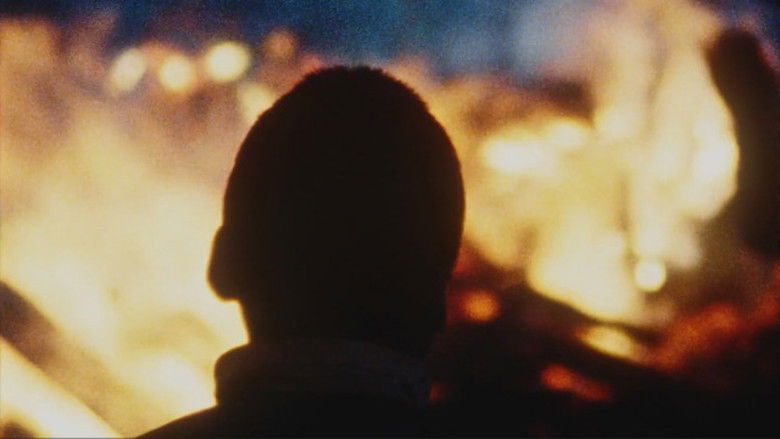 кадр из фильма De grote vakantie