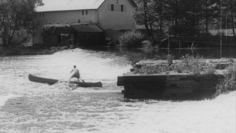 Nad Lužnicí svítí slunce