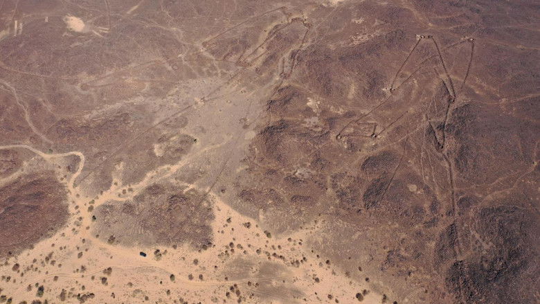 кадр из фильма Les mystères des cerfs-volants du désert