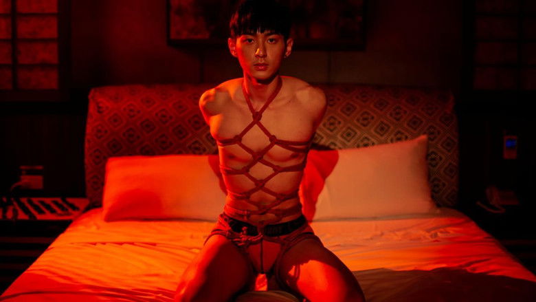 кадр из фильма Лайт