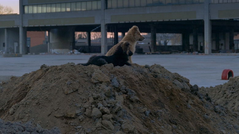 кадр из фильма Призори из живота џукца