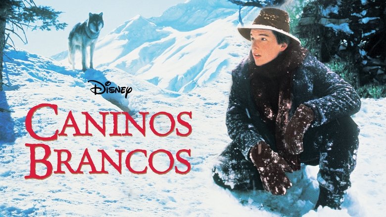 кадр из фильма Белый клык