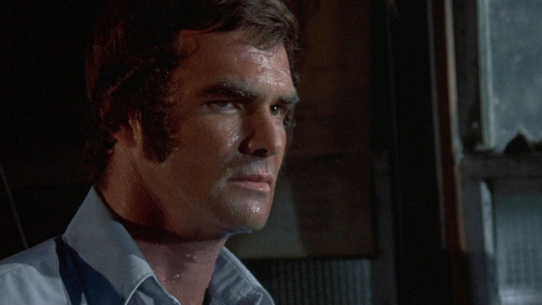 кадр из фильма Белая молния