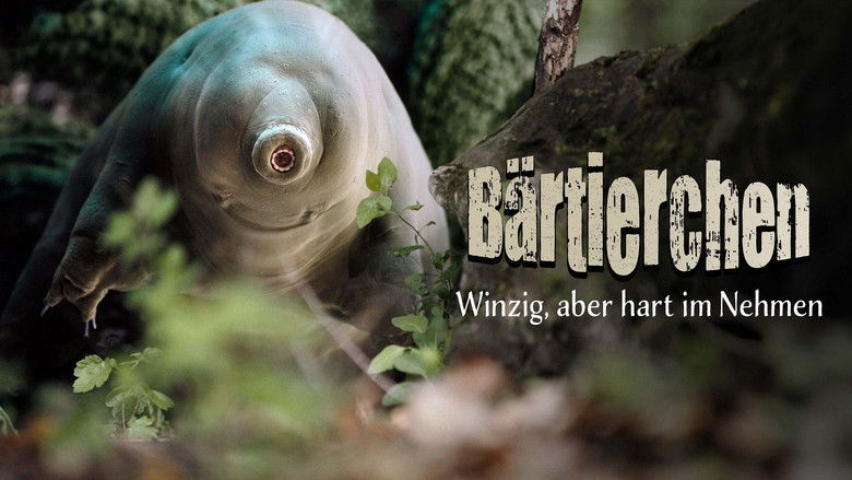 кадр из фильма Tardigrade, l'animal indestructible