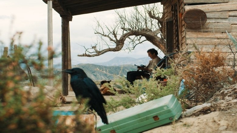 кадр из фильма Dhogs