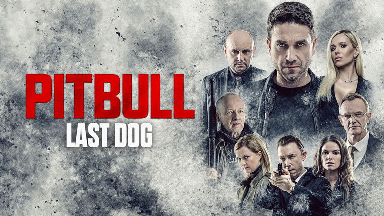 кадр из фильма Питбуль. Последний пёс
